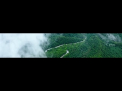 การพัฒนาบริษัท โคโลน